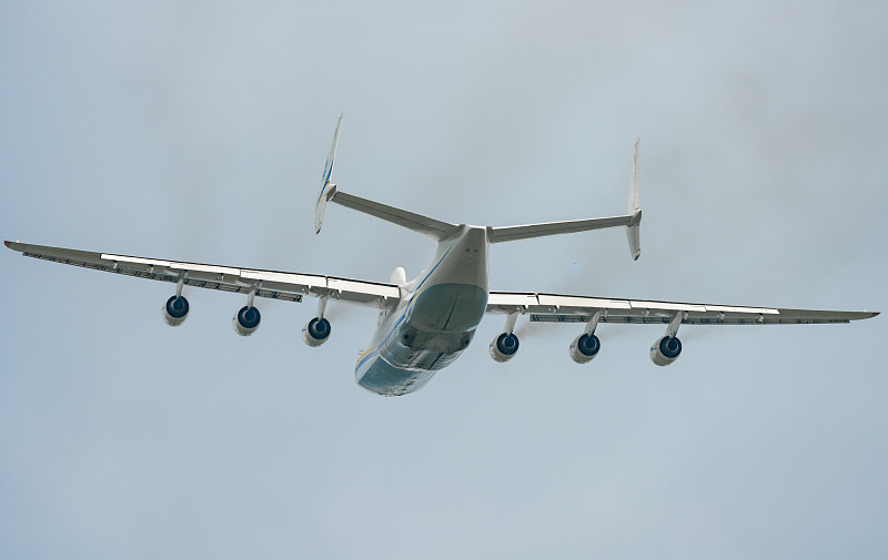 想從大陸空運比賽用鴿子?需要特殊檢疫 想從大陸空運比賽用鴿子?需要特殊檢疫