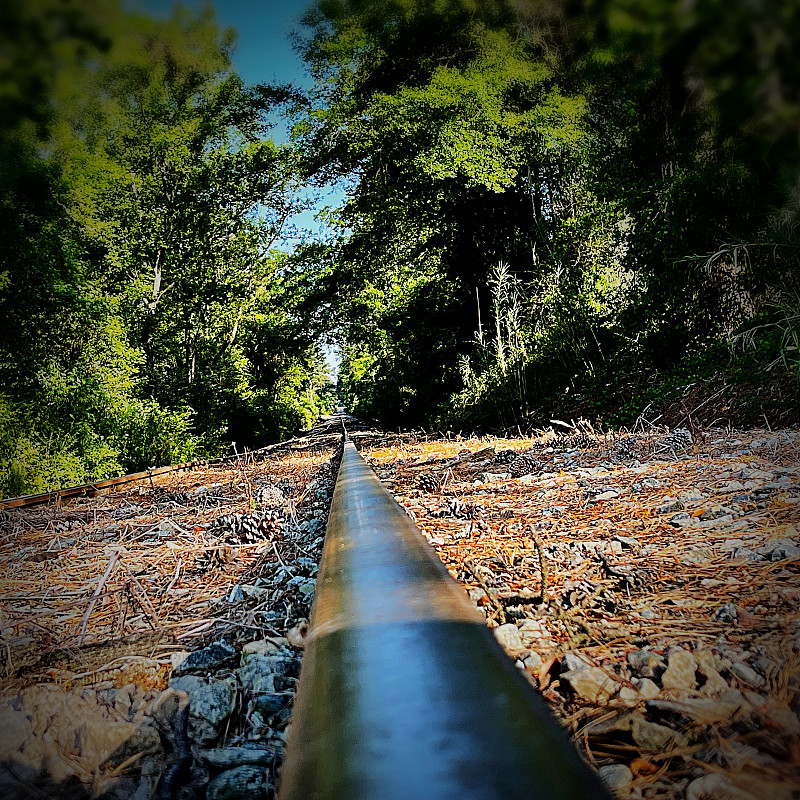 广东速腾物流有限公司东莞市虎门分公司