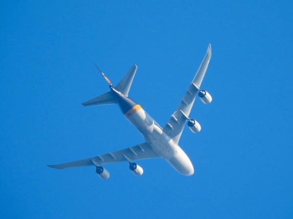 上海晶须国际物流有限公司