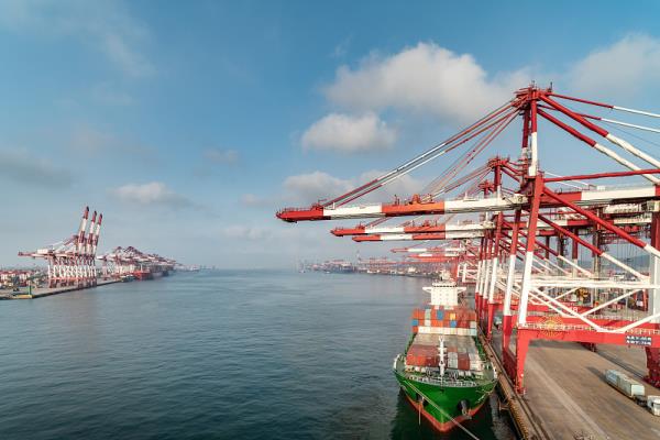 深圳市新远博国际物流有限公司