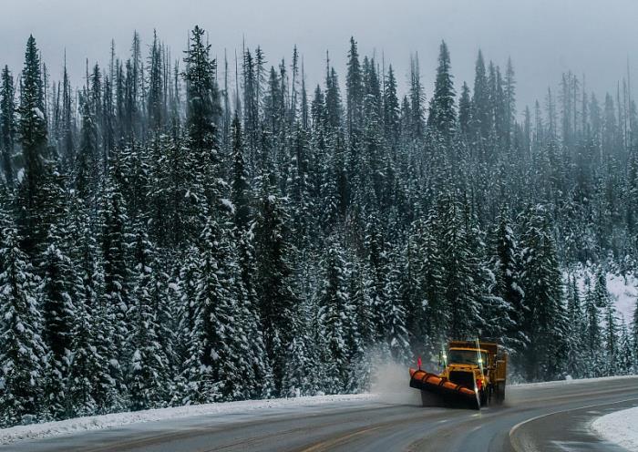 深圳市蓝胜国际物流有限公司