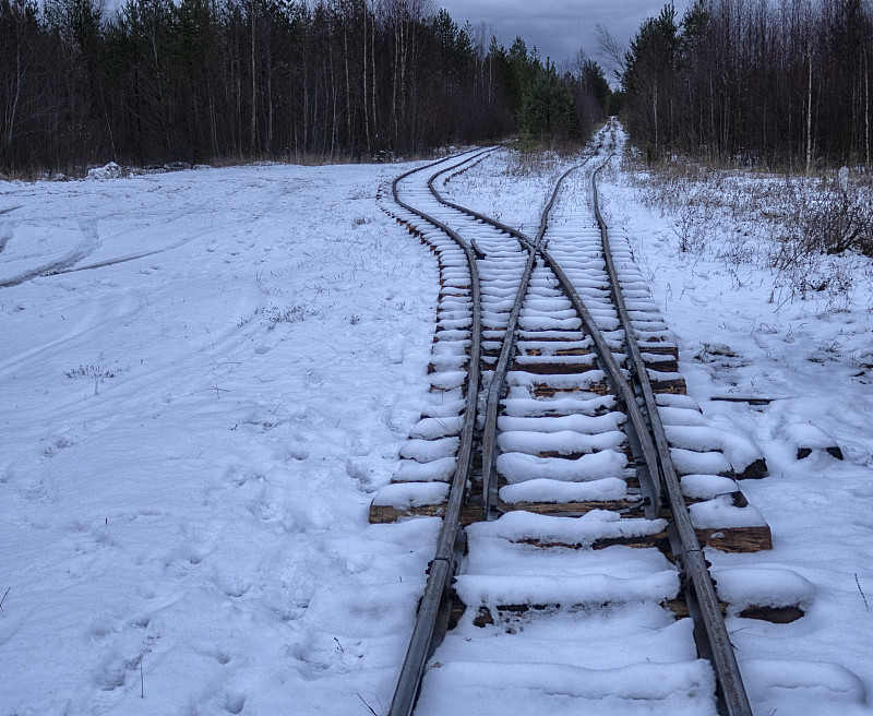 广州港华南国际物流有限公司