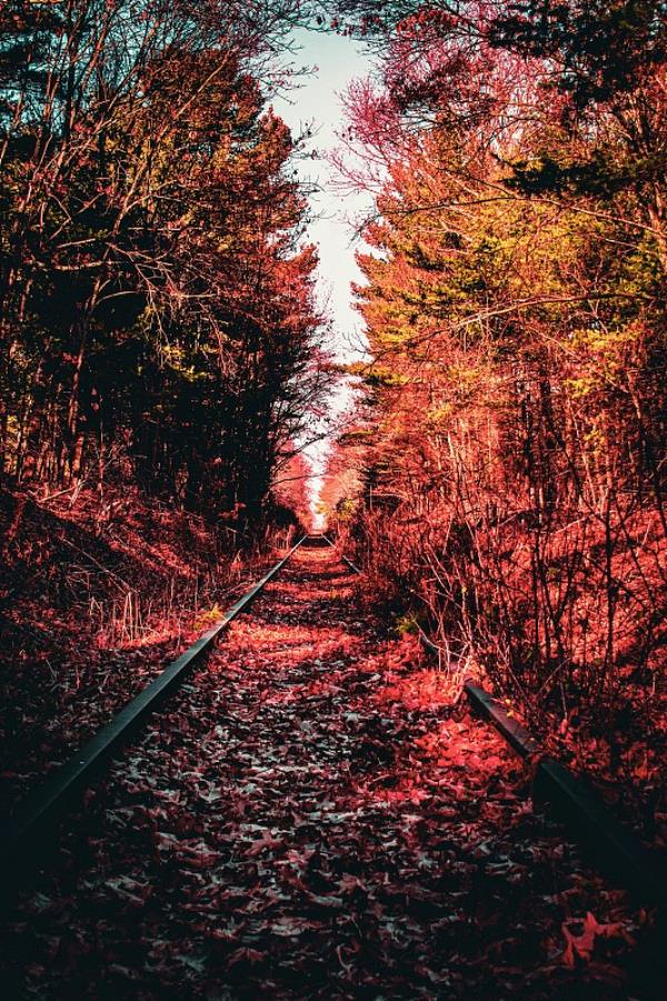 甘肃迎顺航物流有限公司