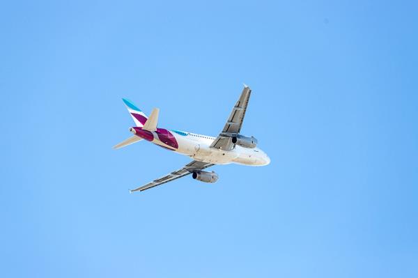 东莞市平头哥国际物流有限公司