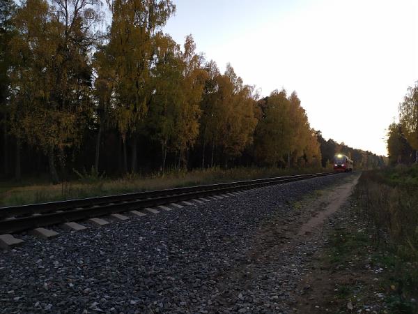 深圳市成田通程物流有限公司