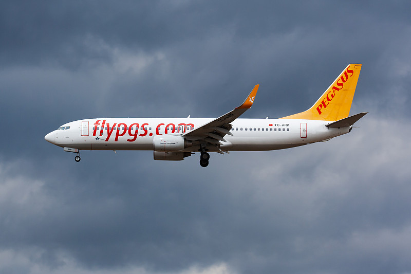 广西鸿洋物流有限公司