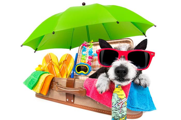 茂名市亿通物流有限公司