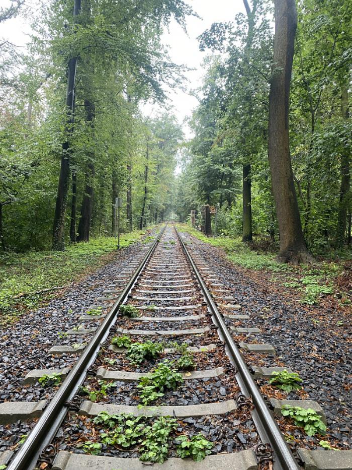 广西兴德物流有限公司 广西兴德物流有限公司