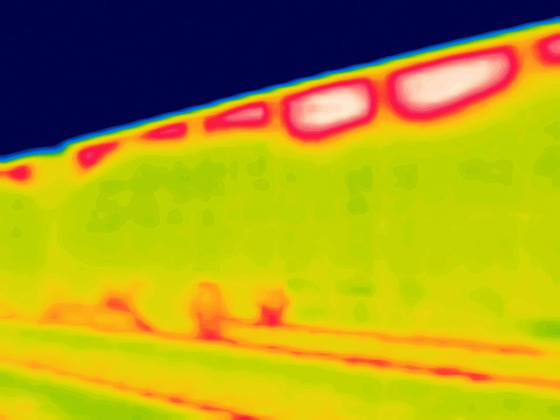 广州中信信通物流有限公司呼伦贝尔分公司