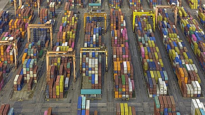 东莞市翼迅国际物流有限公司 东莞市翼迅国际物流有限公司