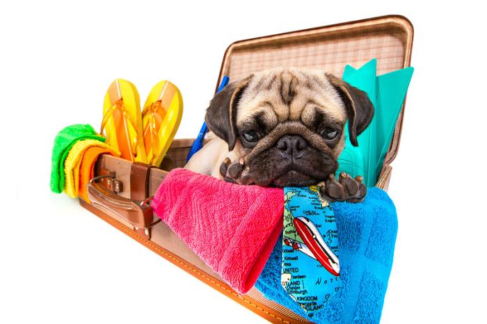 甘肃丝路铁服物流有限公司