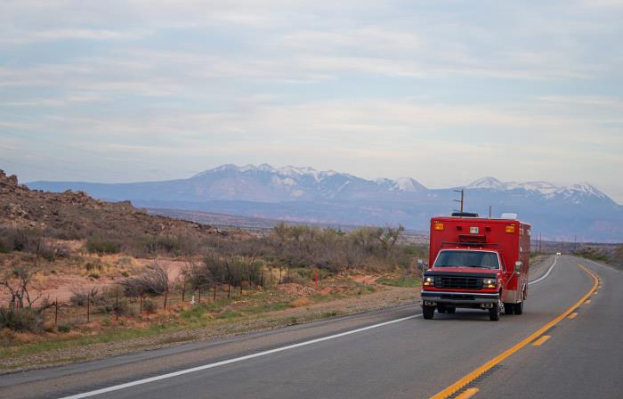 东莞市致顺物流咨询有限公司