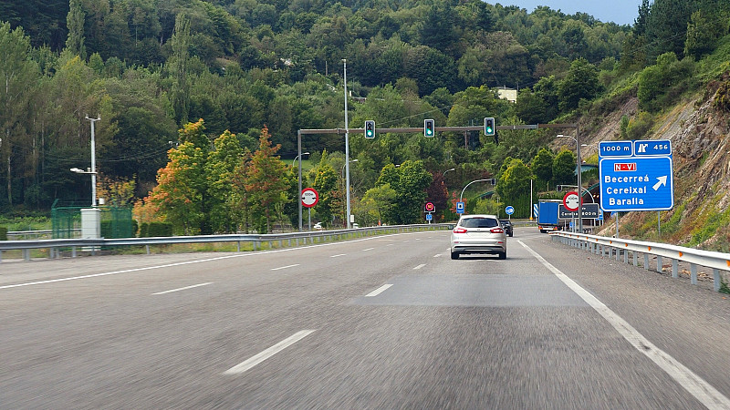 上海新鸿国际物流有限公司