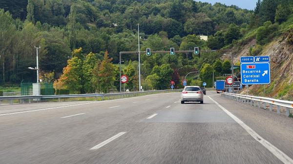 上海新鸿国际物流有限公司