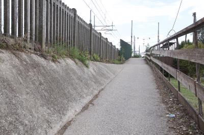 河池鸿福物流有限公司