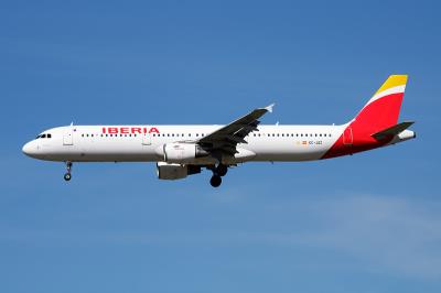 深圳市国飞物流有限公司