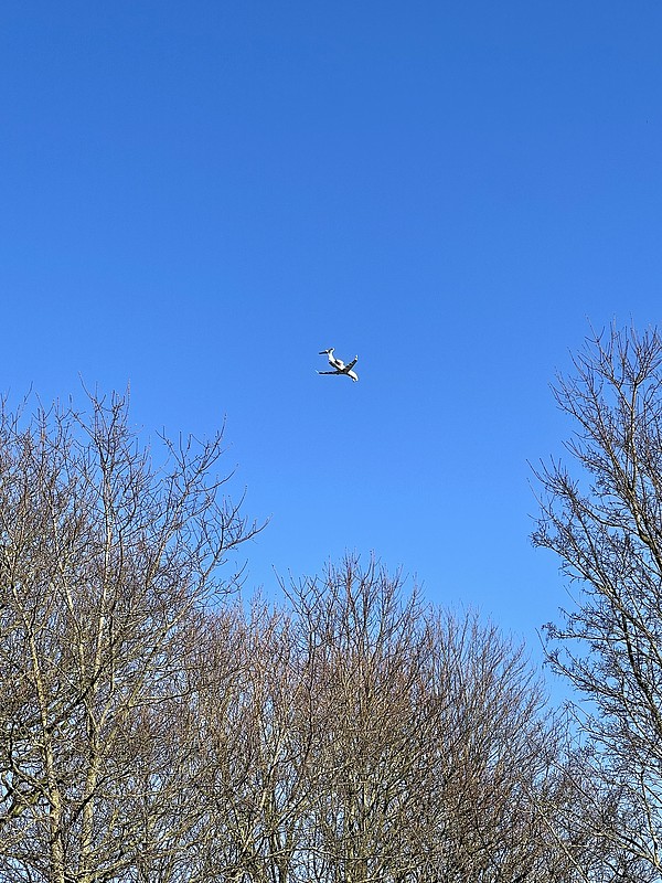 上海车载自行车架及滑雪板架使用空运专线8天内送达西班牙希洪