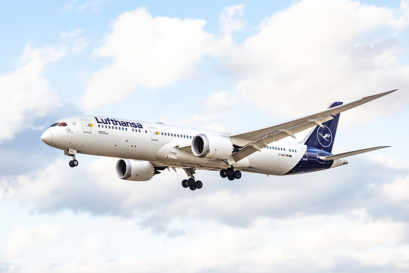 兰花苗采用中国上海优先空运配送到西班牙毕尔巴鄂 (Bilbao)