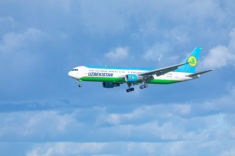 椴木使用香港国际海运运到加的斯