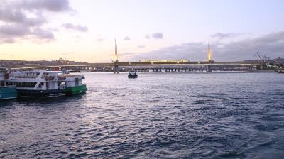 深圳木片材采用优先空运3天内送达塔拉戈纳 (Tarragona)