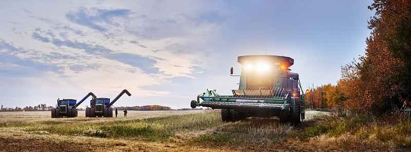 扫帚/簸箕/垃圾铲经过中国重庆轮船运输快递至西班牙塔拉戈纳