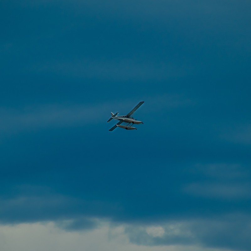 大蒜、生姜采取中国广州多式联运递送到西班牙加的斯 (Cadiz)