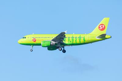 厦门到西班牙巴塞罗那的马毛采用空运物流专线10天内送达