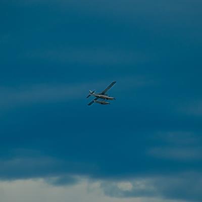 大蒜、生姜采取中国广州多式联运递送到西班牙加的斯 (Cadiz)