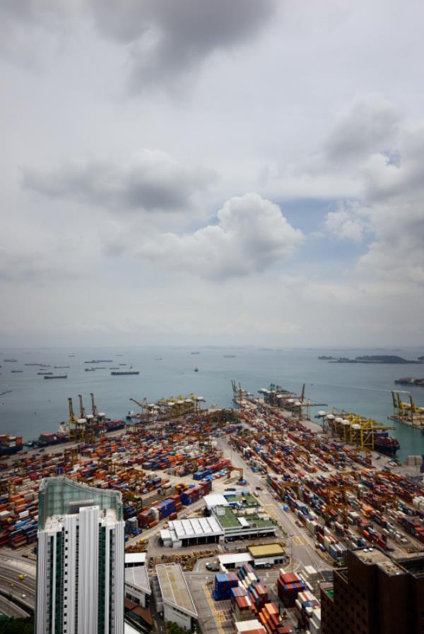 我的物流信息查询