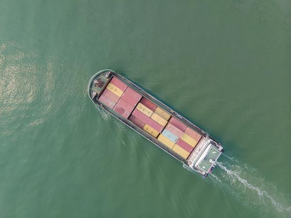 西班牙海运被查验怎么办